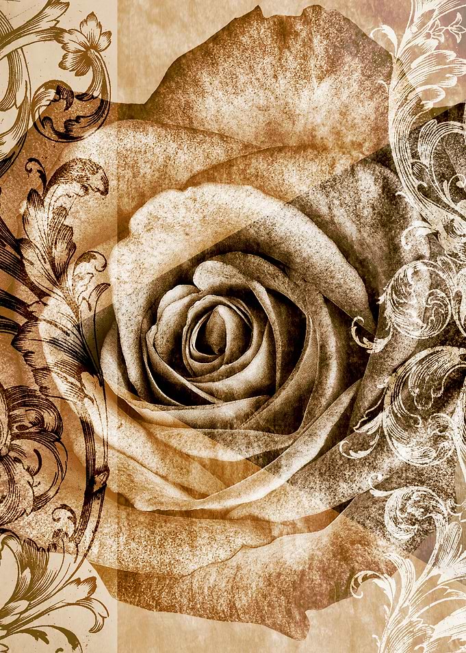 Sepia Bloom