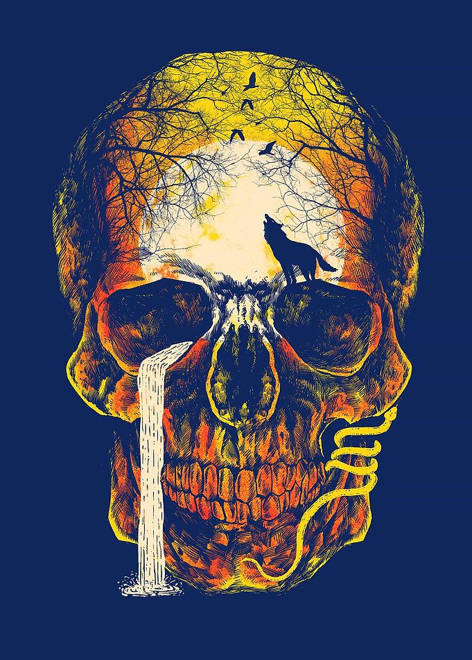 Natural skull