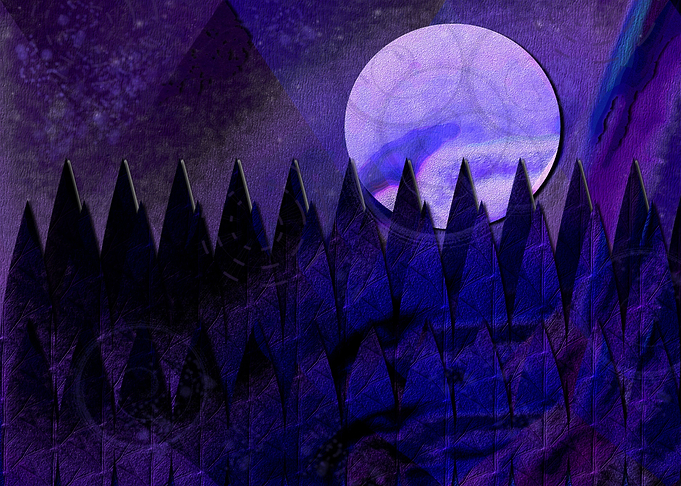 Silent Forest
