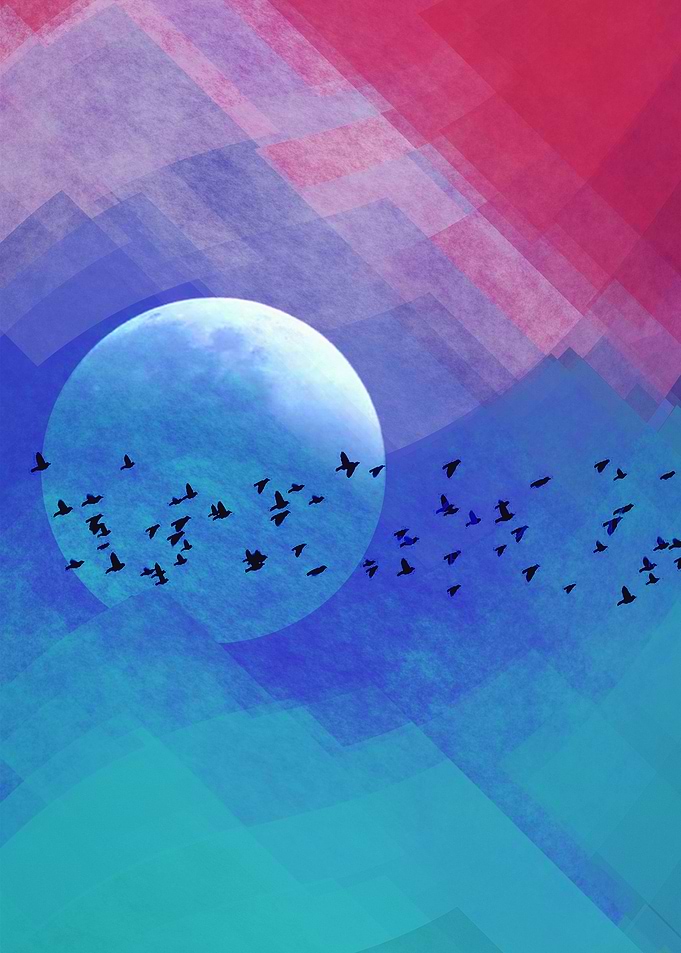 Magic Night