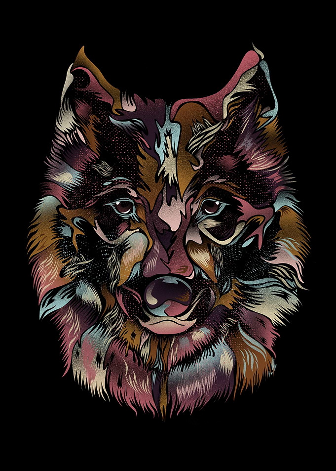 WILD WOLF