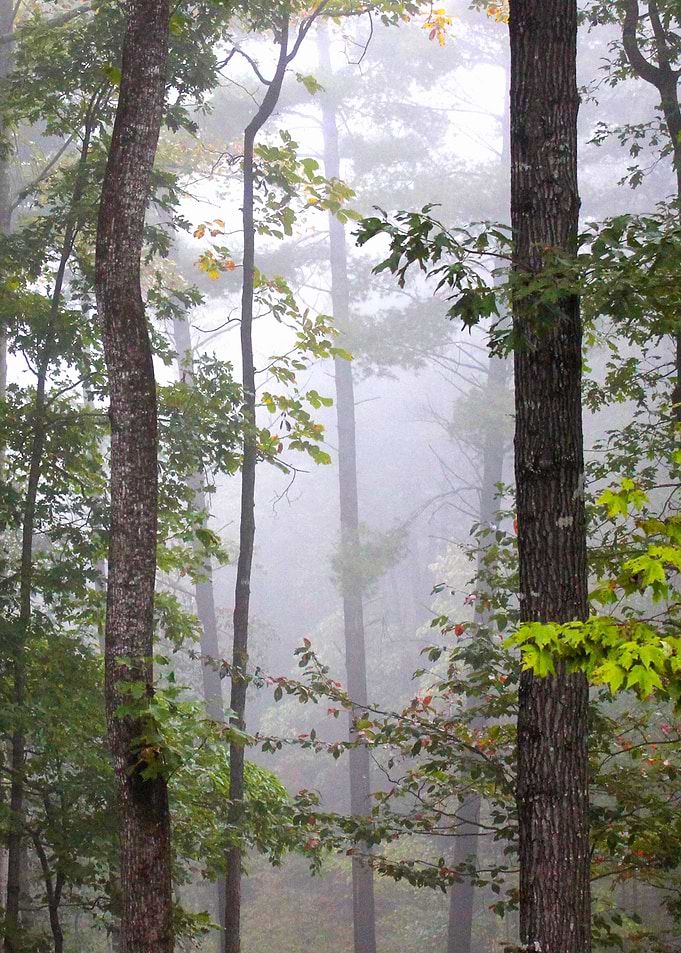 Misty Mountain