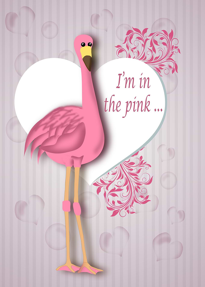 Im in the Pink