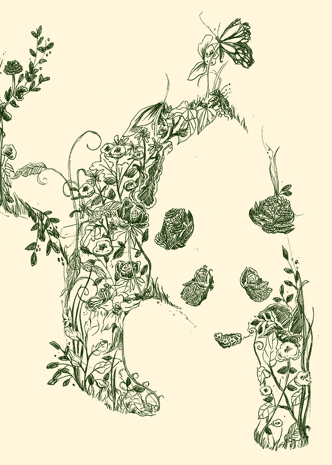 Sketch of Nature