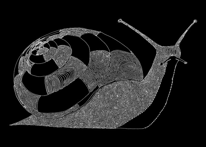 Snail Inverse, One Liner