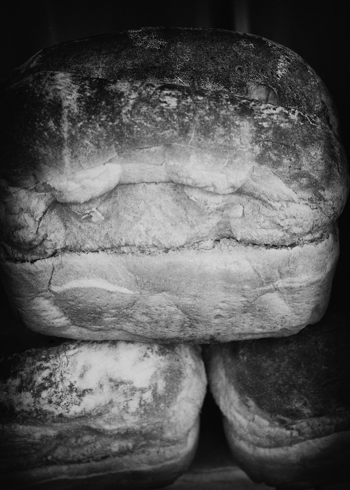 LOAVES OF BREAD