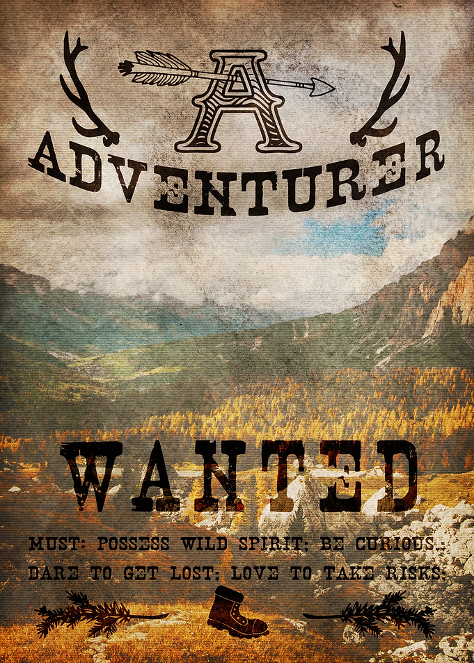 Adventurer Wanted