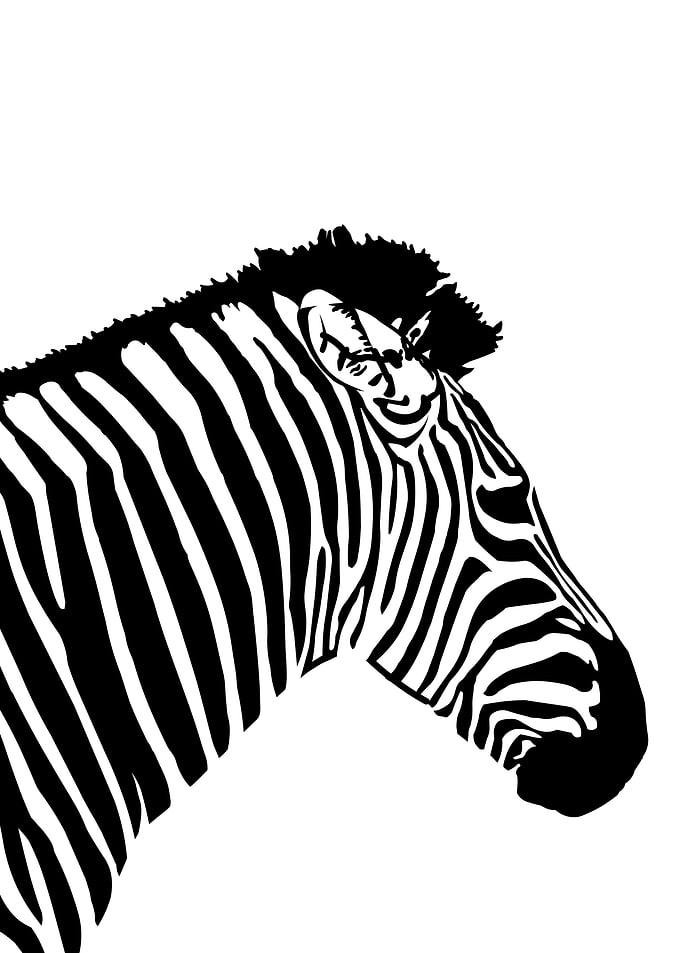 black and white