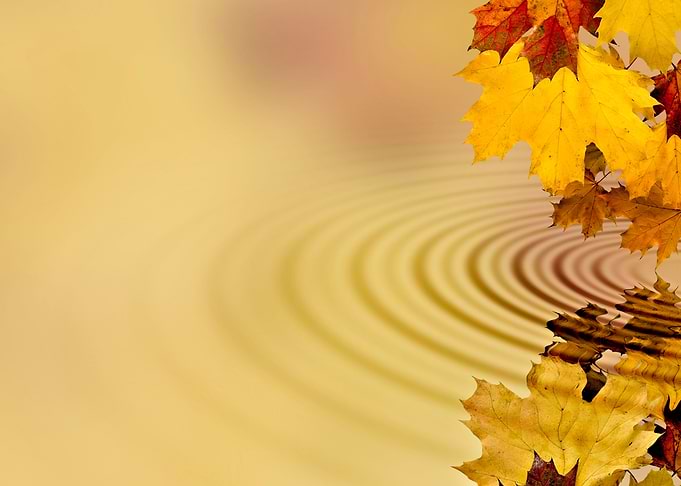 Autumn Leaves