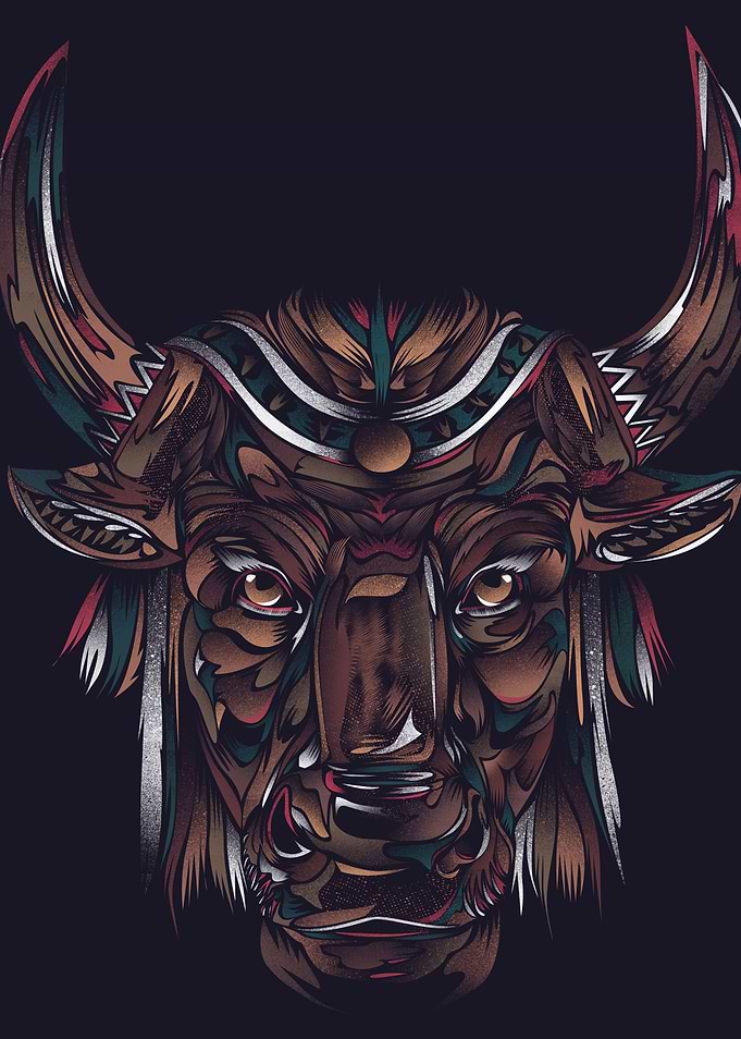 WILD BULL