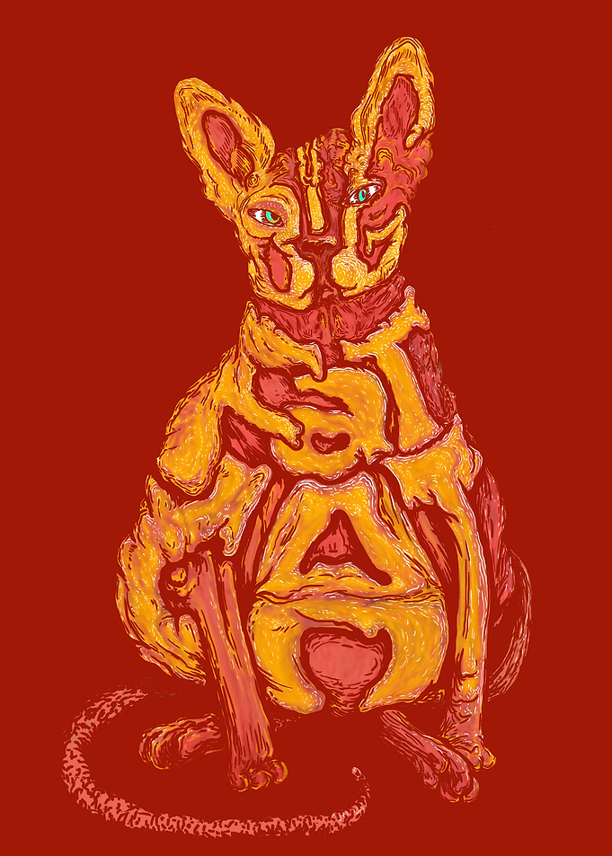 Big Fat Cat