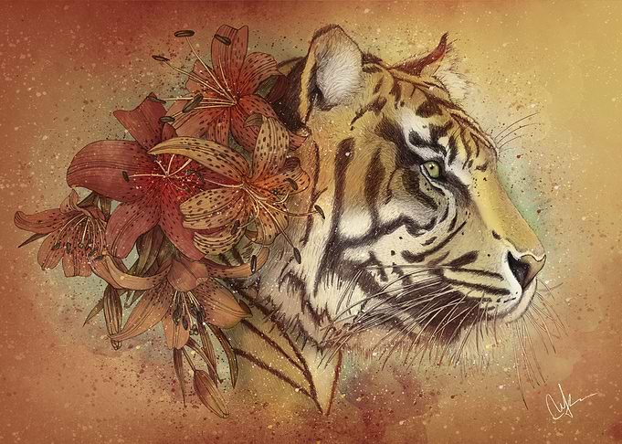 Tigerlily