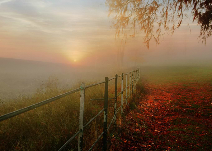 Autumn sunrise hampstead heath london