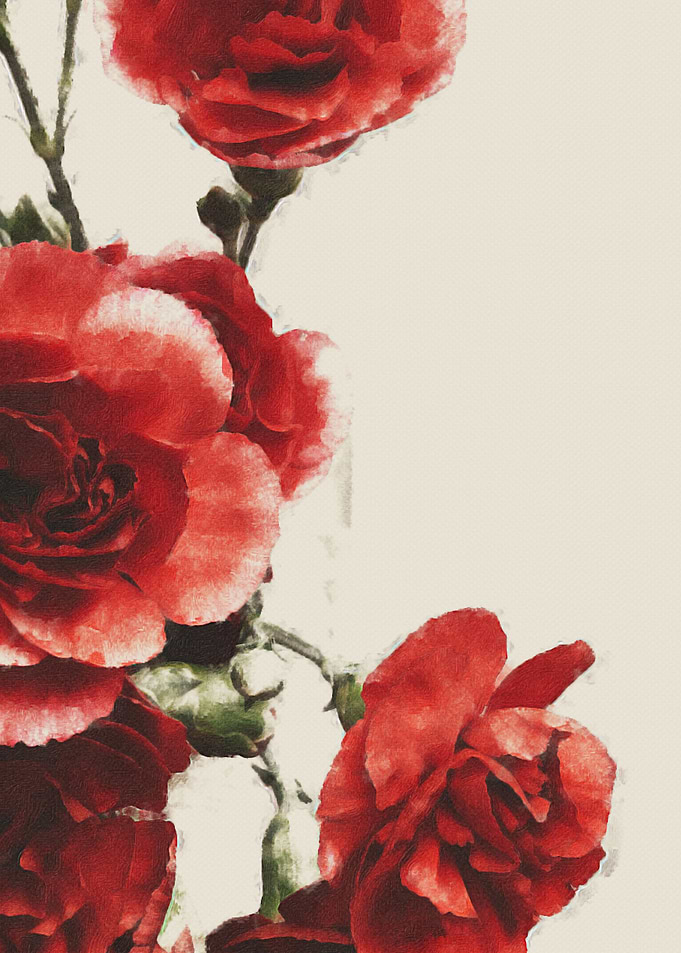 Love Petals