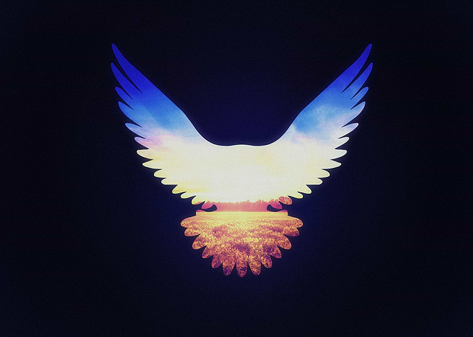 The Wild Wings (Landscape x eagle)