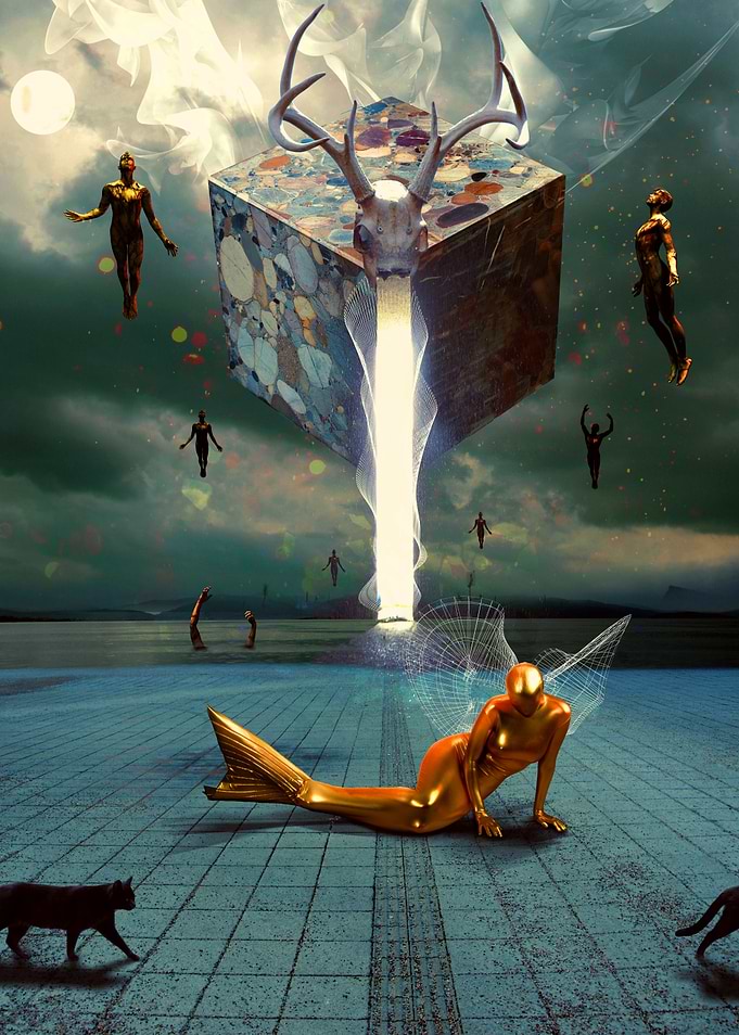 Reincarnate------ “I died as a mineral and became a pl ...