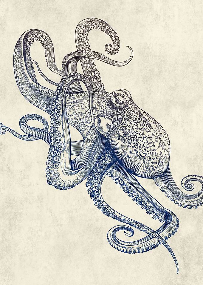 Octo Flow