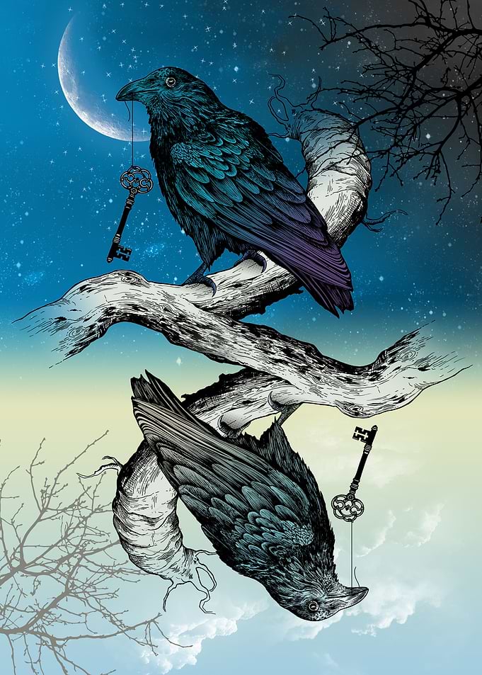 Raven Night Day