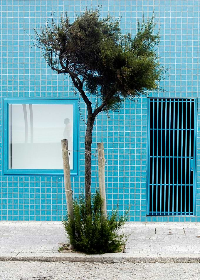 blue lines