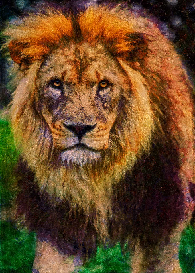 The Old Lion