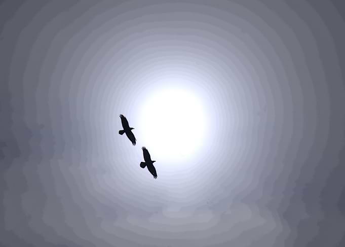\'synchrony