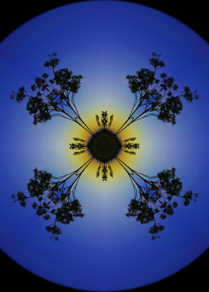 four tree world