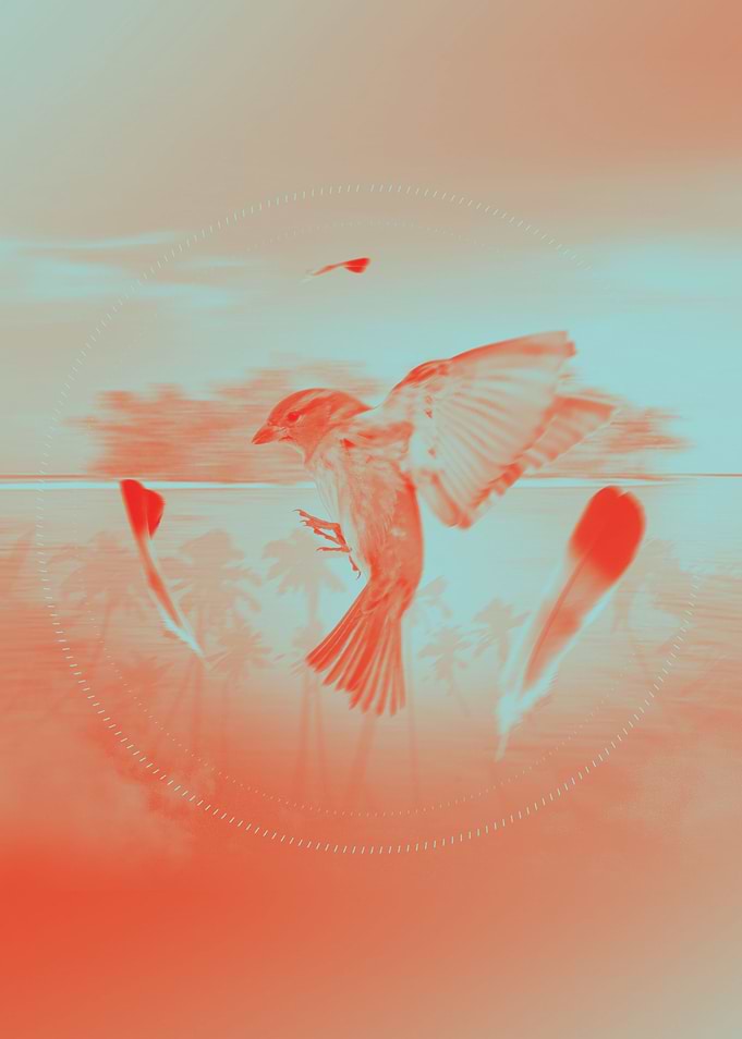 Landing in Dreams