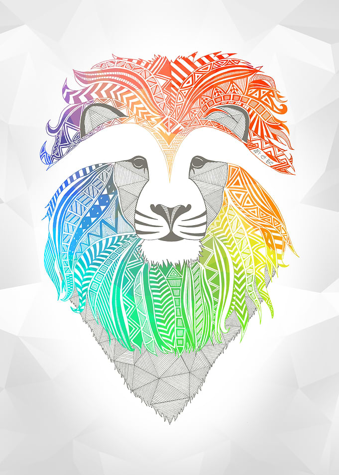 Lion - Multicolor Africa