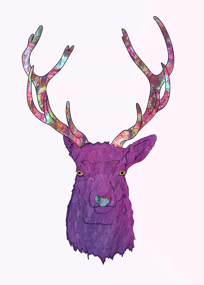 Deer