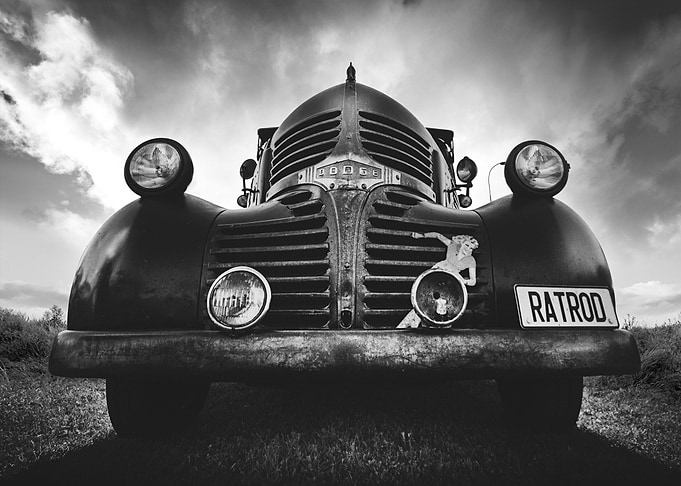 The Rat