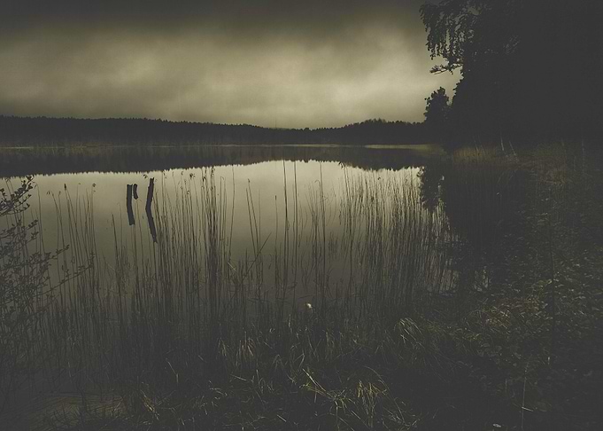 Dead fish don´t swim