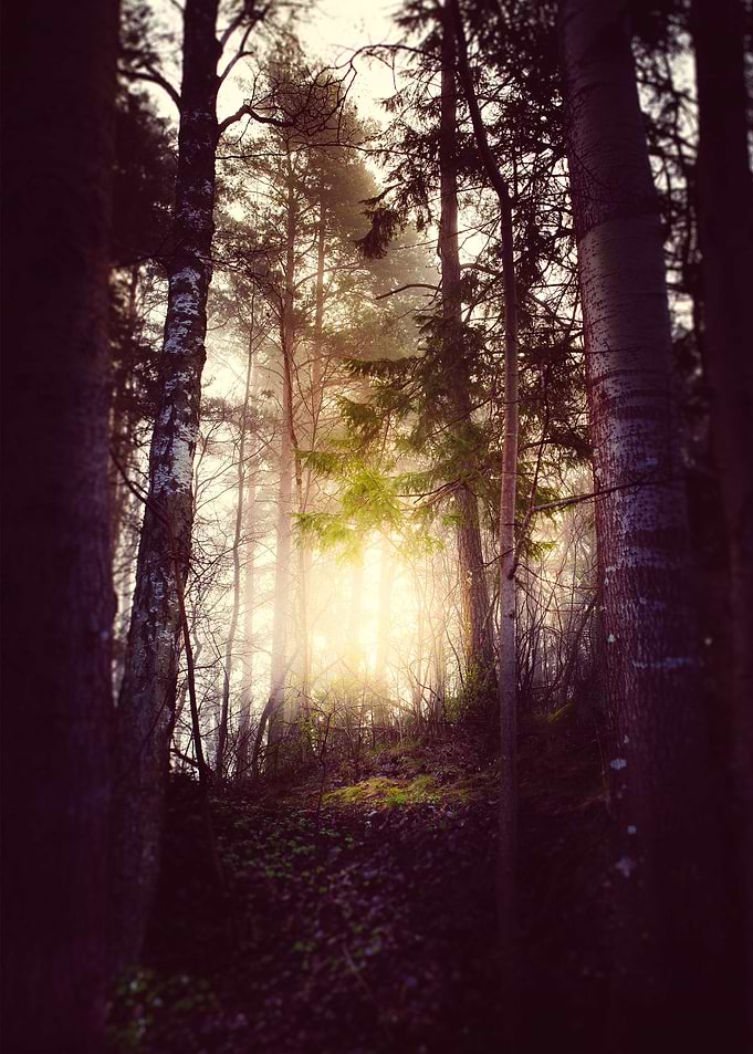 Nebel