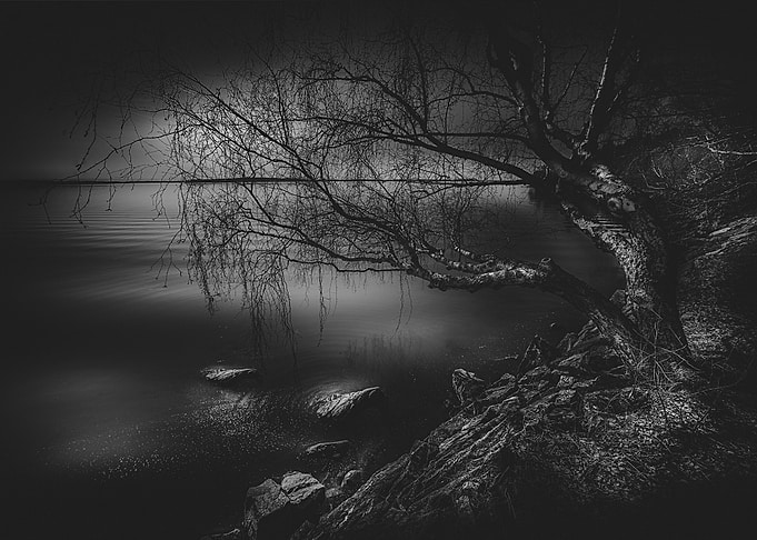 Once upon a tree