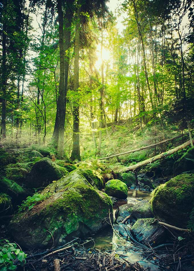 Down the dark ravine 2