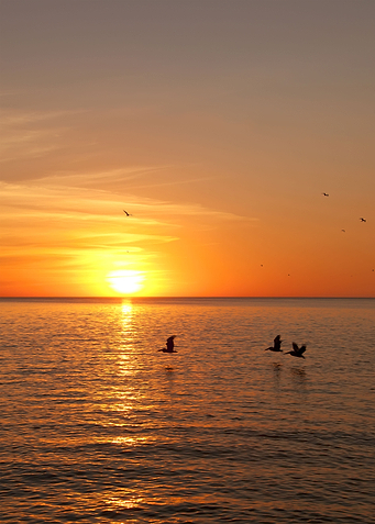 Calm evening