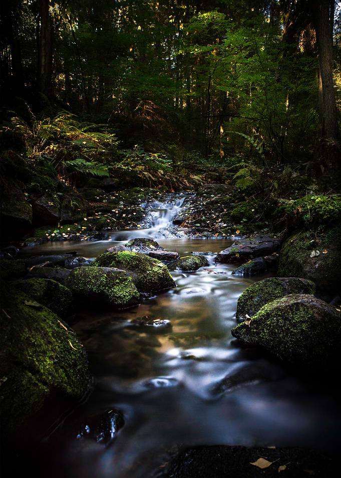 Down the dark ravine 3