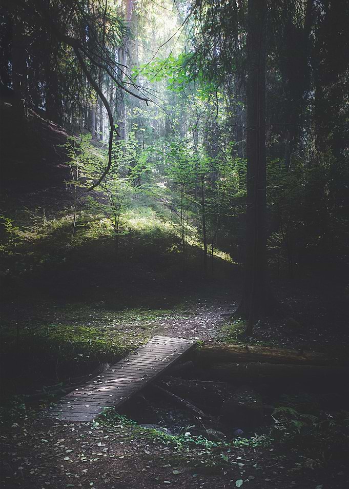 The road back is always the hardest