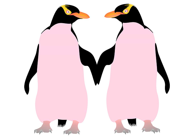 Gay Pride Lesbian Penguins Holding Hands. Two Penguins ...