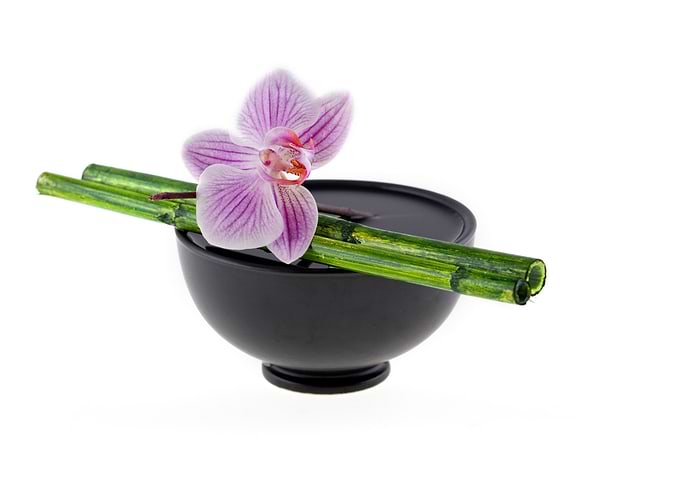 Zen Orchid