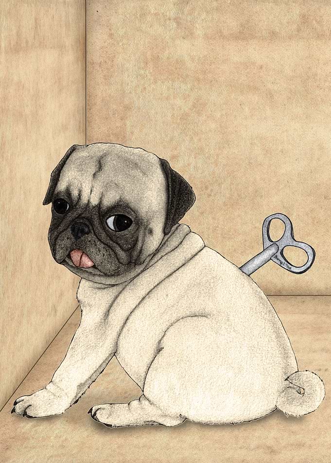 Toy Dog; Pug.