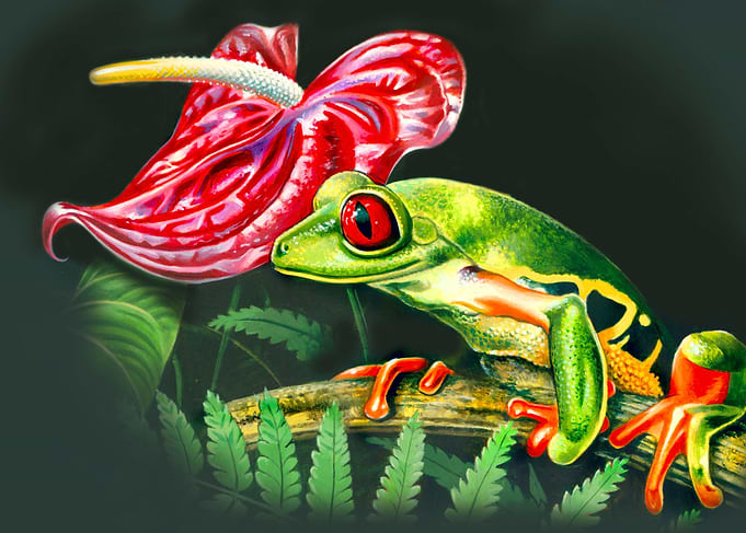 frog and flower