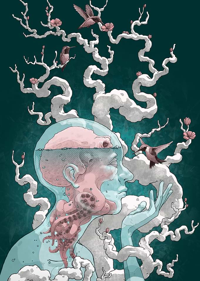 Deceiver