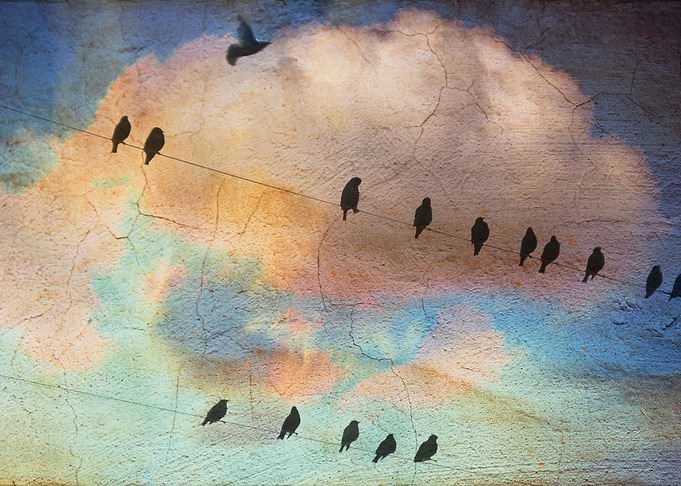 Birds on a wire against a colourful evening sky