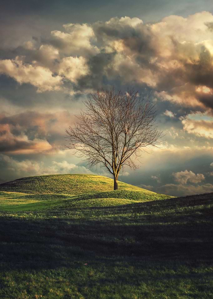Spring is coming