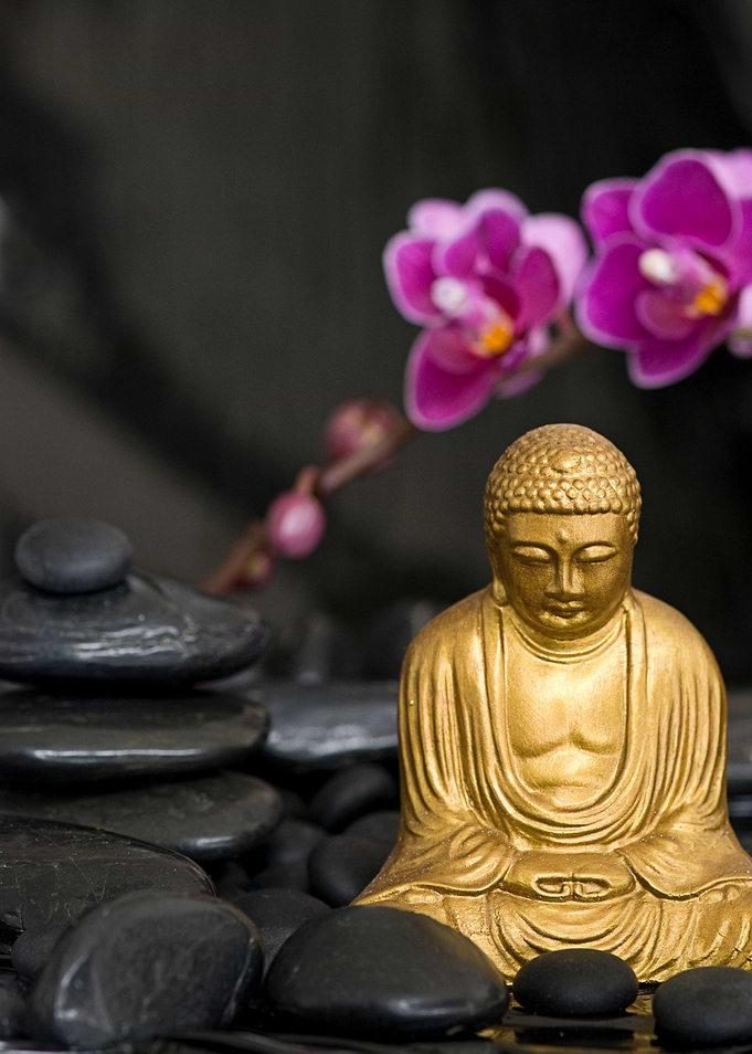 Black zen