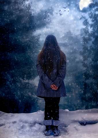 snowy night