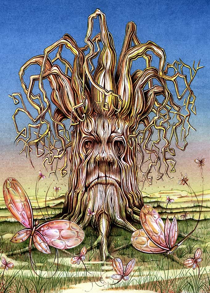 magic moth tree