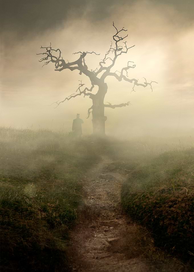 Long Journey - the beginning