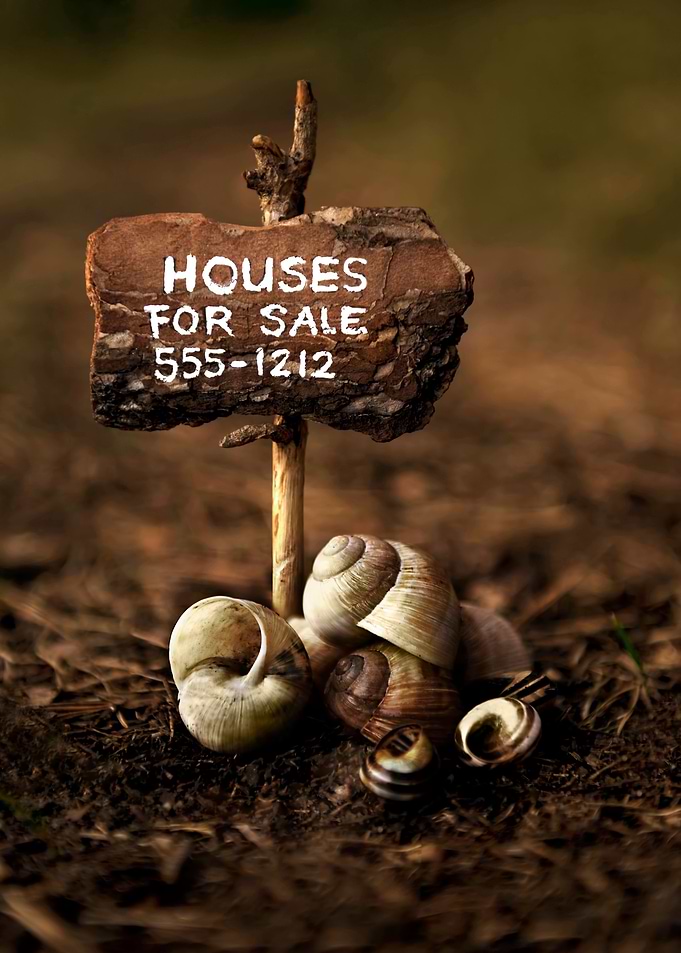 Houses for sale