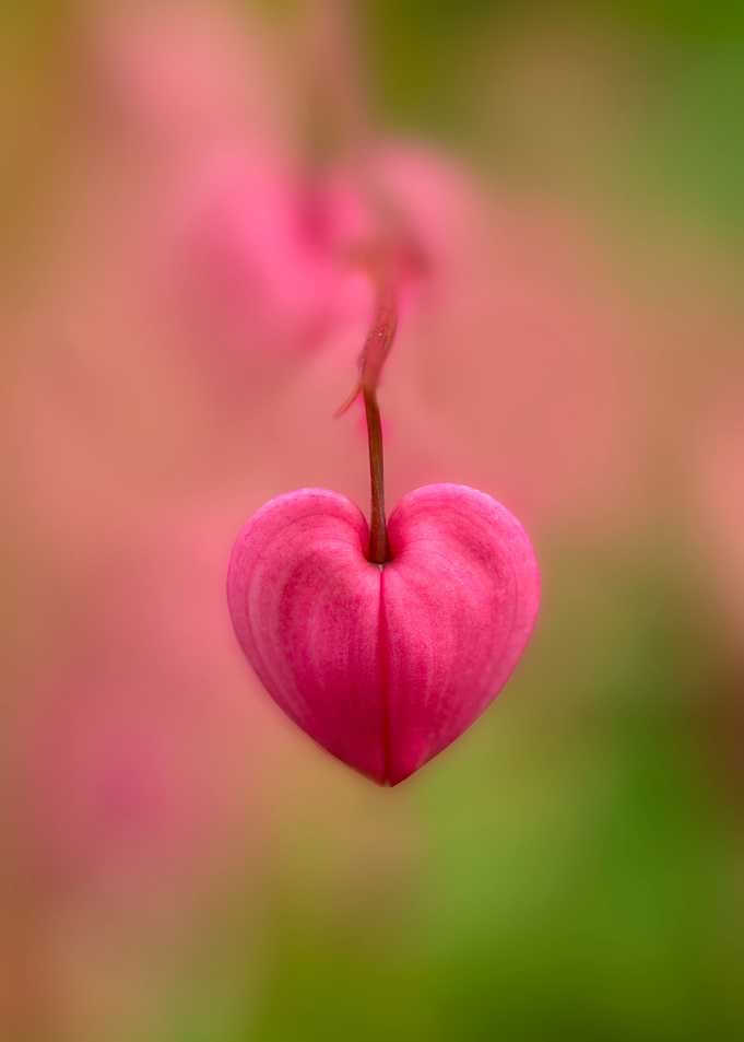 With love from...